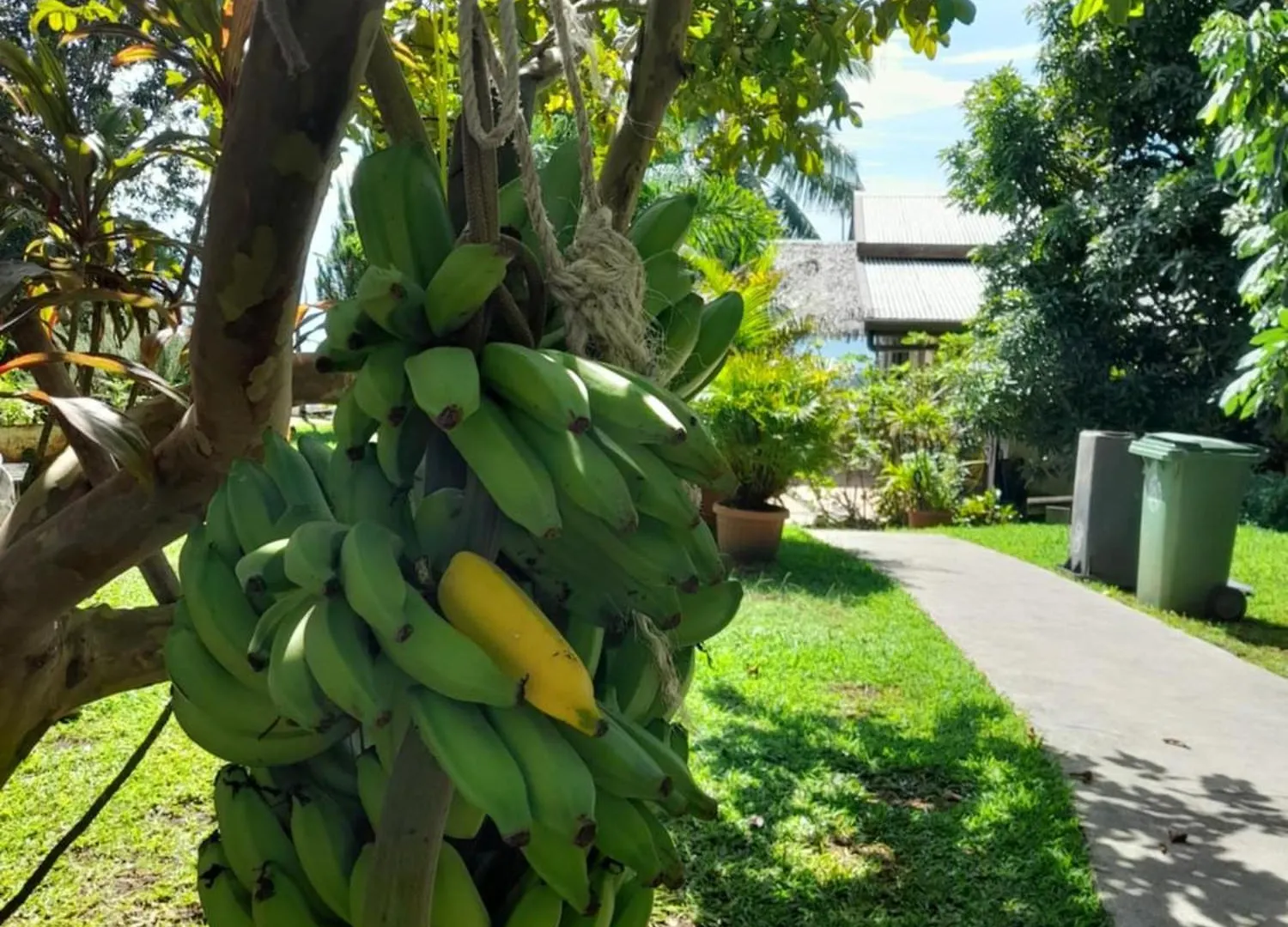 Fare Teraina Villa Mahina